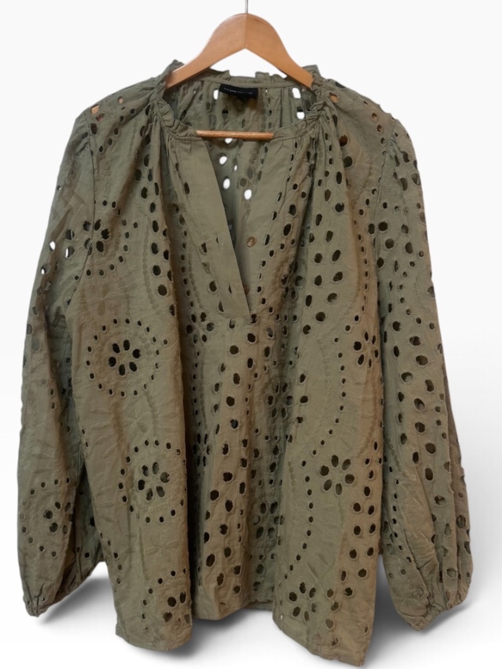 Liv Los Angeles Sage Green Eyelet Embroidered Long Sleeve V-Neck Blouse Top